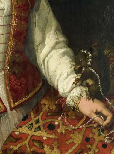 Lady with squirrel  Francesco Montemezzano Rijksmueum