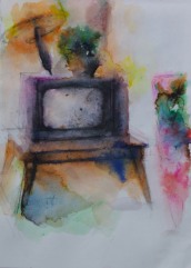 Mother's House : the television